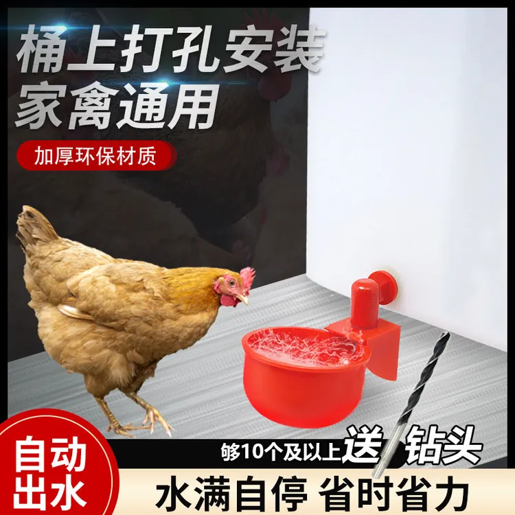 新型家禽鸡自动饮水器鸭鸡饮水设备鸡用饮水碗鸡鸭鹅喂水养殖产品