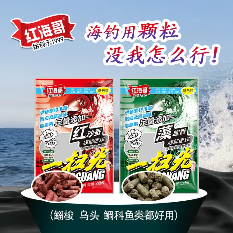 红海哥一扫光藻腥香颗粒红沙蚕海钓矶钓打窝梭鱼乌头鲻鱼鲷科鱼类