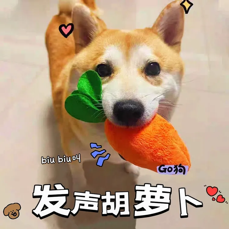 狗狗毛绒玩具磨牙毛绒发声玩具仿真宠物胡萝卜猫咪解闷宠物用品