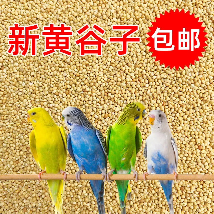 鸟粮新黄谷子中小型鹦鹉饲料食虎皮玄凤牡丹带壳小米食物粮食