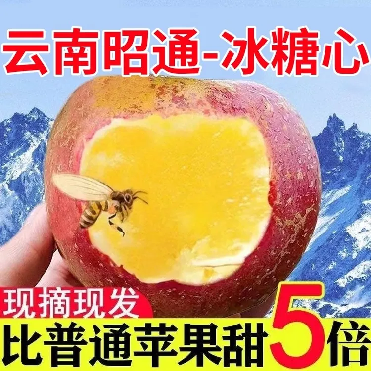 正宗云南昭通丑苹果冰糖心新鲜水果脆甜多汁现摘现发脆甜多汁