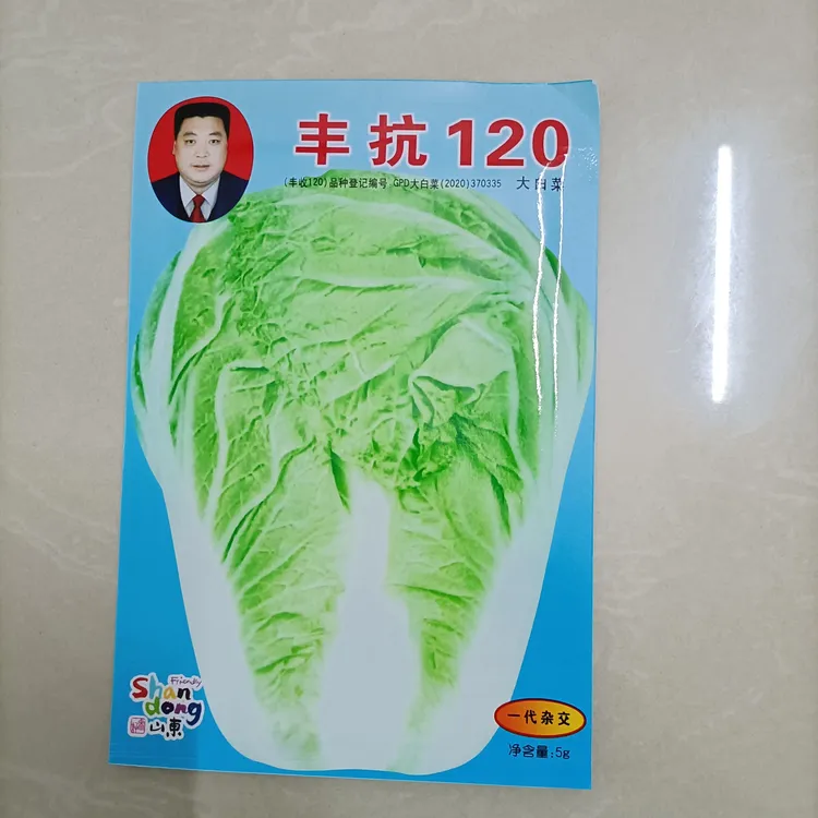 丰抗70.80.90.120天大白菜种籽早熟晚熟大白菜四季高产蔬菜种子籽