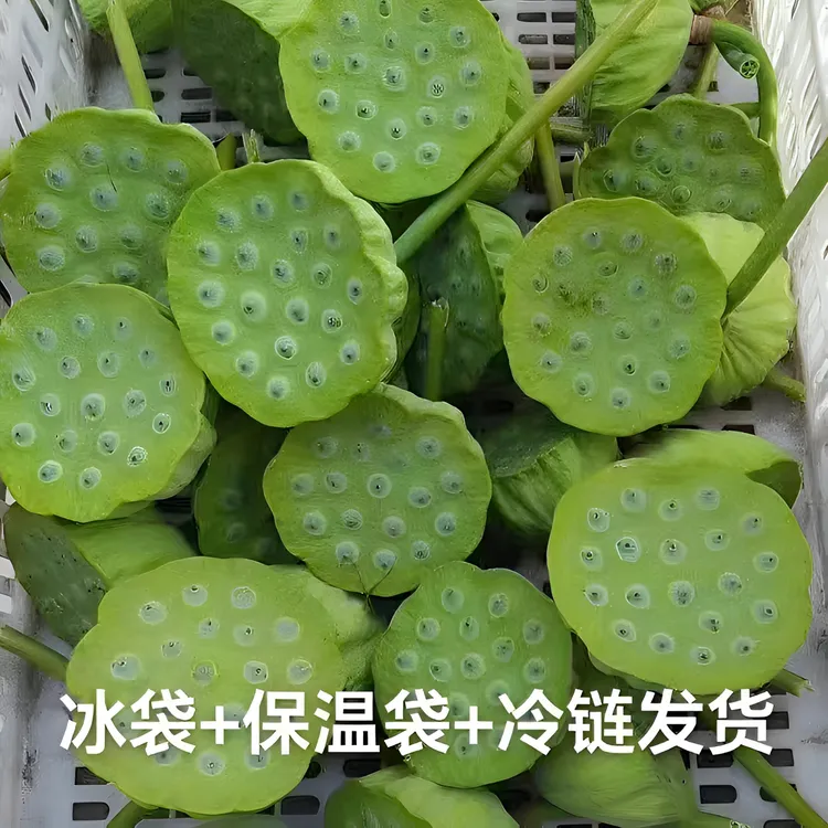 【顺丰冷链】新鲜莲蓬2025 嫩莲子生吃水果莲蓬莲子米当季水果湘莲