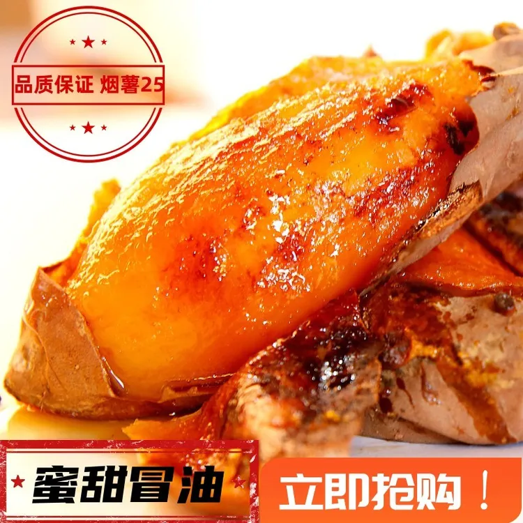 【中通快递】于胖子 烟薯25 地瓜沙地蜜薯红薯烘烤好吃 4.5斤