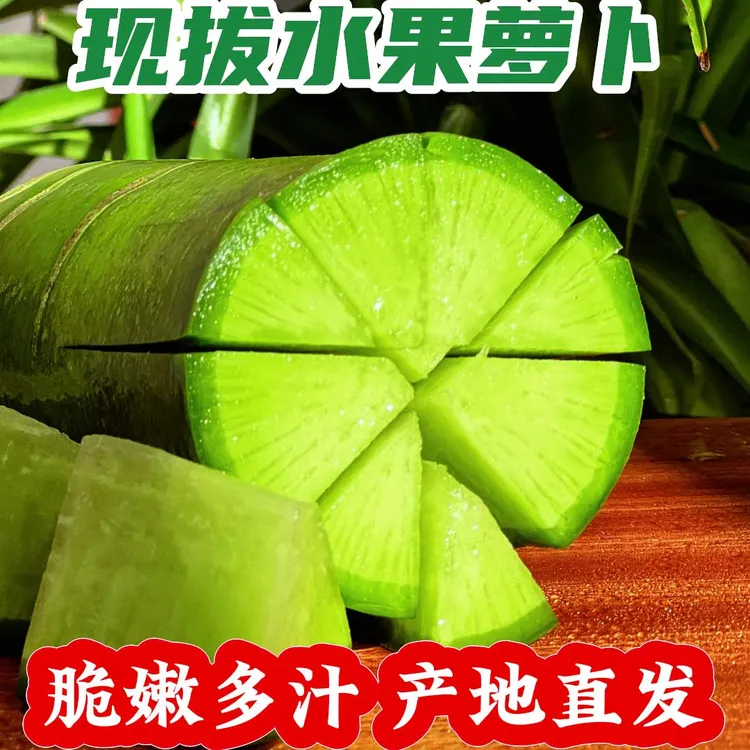【潍坊直发】水果萝卜正宗山东潍坊脆甜多汁生吃爽口微辣青萝卜