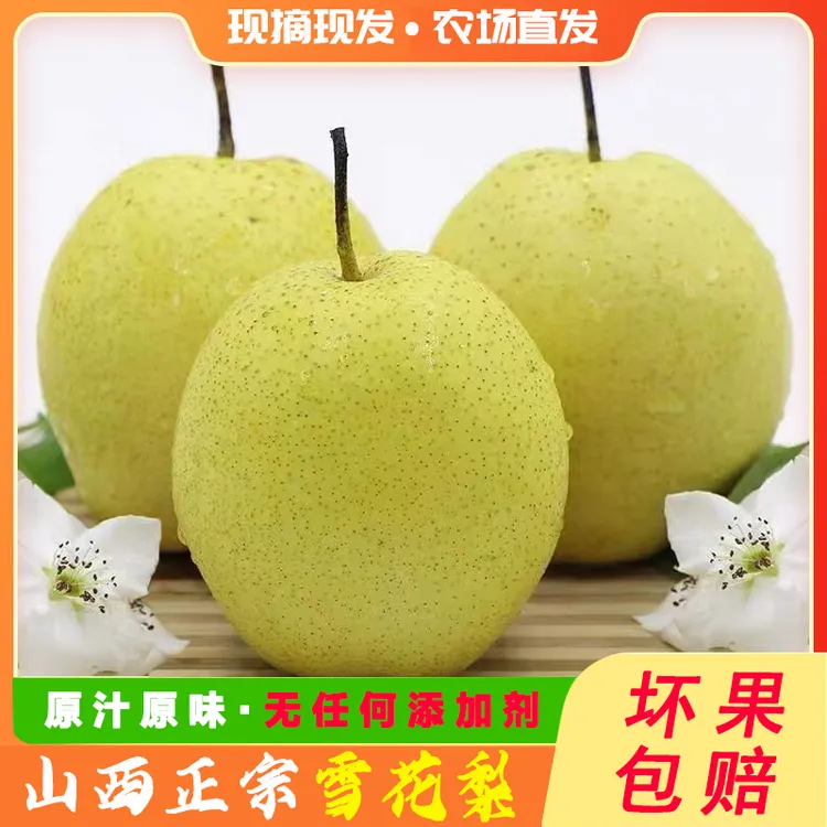 【优质雪花梨】山西贡梨新鲜脆甜多汁绿色爽口包好吃 老人小孩