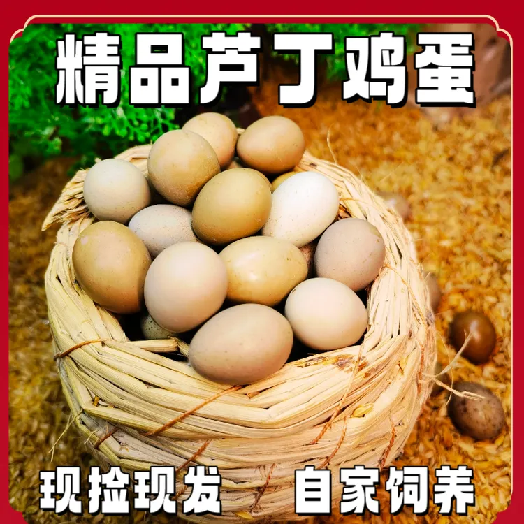 优质网红芦丁鸡蛋全色纯白德系可食用新鲜全系九色混发破损包赔