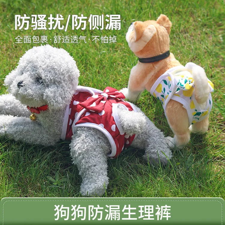 狗狗生理裤狗狗尿不湿卫生裤母狗月经裤姨妈巾安全裤狗狗防骚扰裤