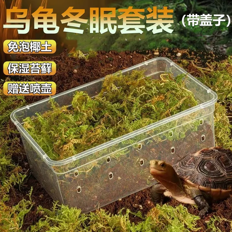 乌龟冬眠箱椰土苔藓保暖垫材冬眠套装冬眠用品龟巴西龟过冬饲养箱