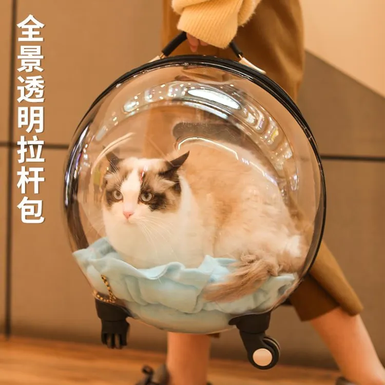 猫包外出便携拉杆箱太空舱猫咪背包外出包大容量透明宠物用品神器