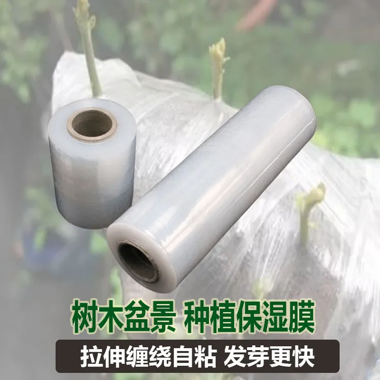 树木盆景生桩保湿膜植物保温膜保鲜膜嫁接膜家用园艺用品