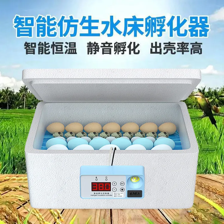 家用控温水床鸡苗鸭鹅鸟类保温小型半自动孵化箱水床孵化器