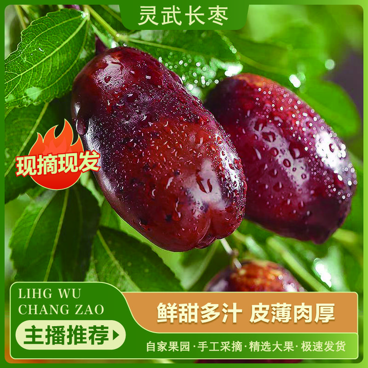 宁夏灵武长枣  鲜枣脆枣甜枣皮肉厚薄现摘现发中果净果五斤礼盒装