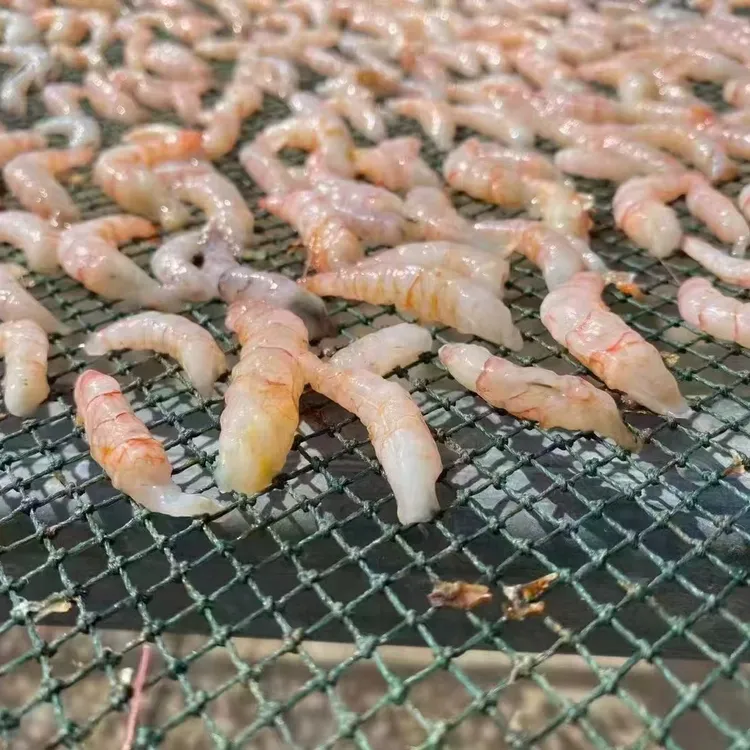 水产食用鲜美虾仁新鲜海捕虾仁250克500克熟虾仁