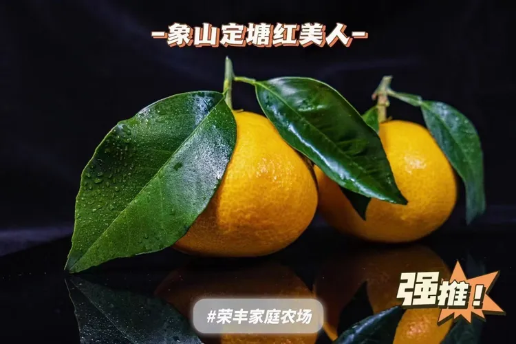 象山红美人现摘象山直发 10斤装 24只， 包邮鲜甜多汁纯正