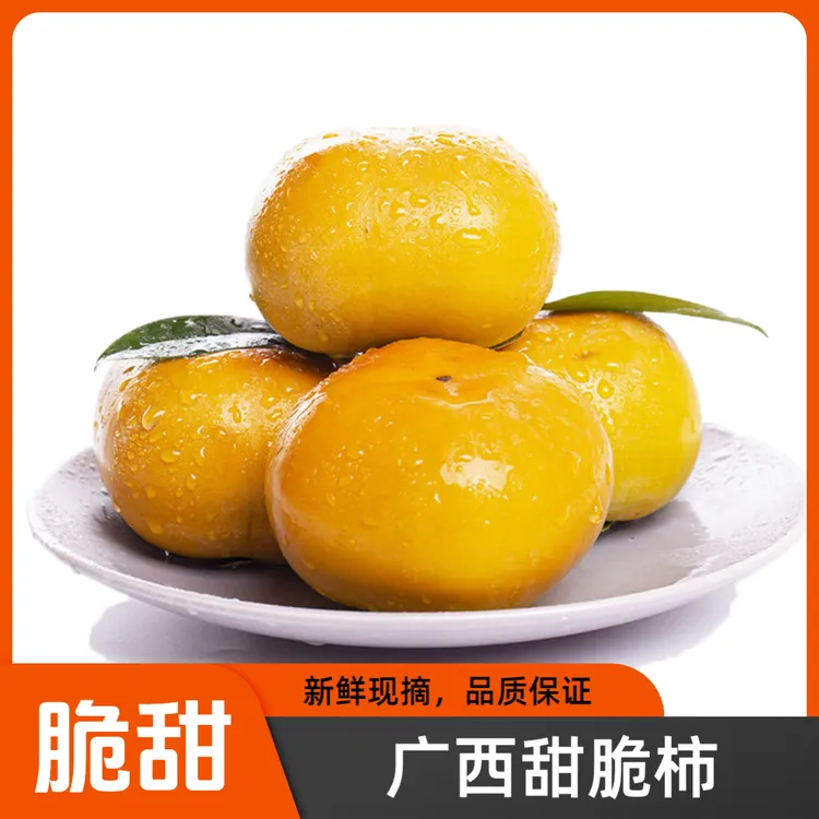【福利品脆柿】广西甜脆柿一箱3/5/9斤甜脆柿子 硬吃不涩 脆甜新鲜