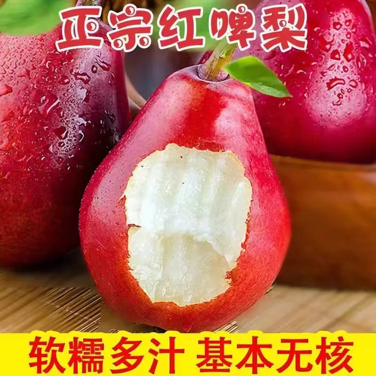 稀有品种 红啤梨放软吃香甜软糯多汁梨子直发新鲜水果4.5-8.5斤