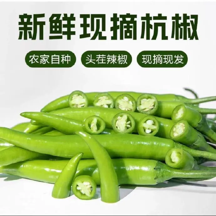 现摘高辣杭椒青椒腌咸菜泡椒剁椒3斤嘎嘎辣皮薄好吃5斤