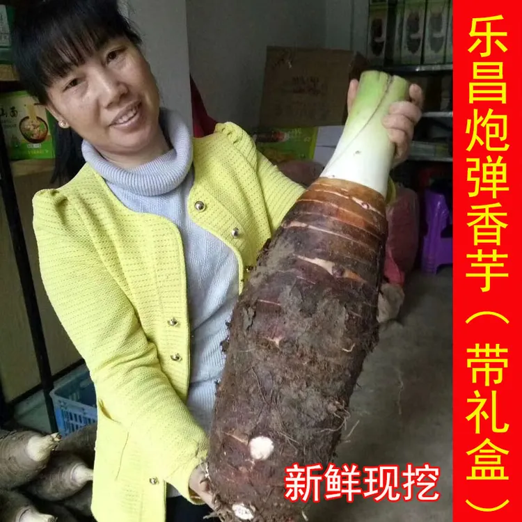 韶关市乐昌张溪炮弹香芋农家自种芋头批发零售