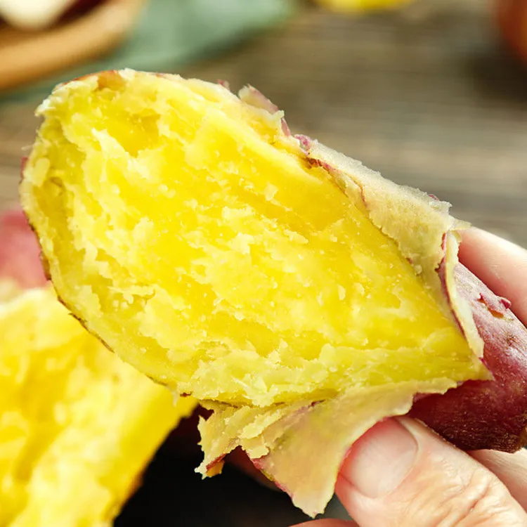 特价海南澄迈桥头富硒地瓜粉糯香甜新鲜现挖中果5-9斤净重包邮