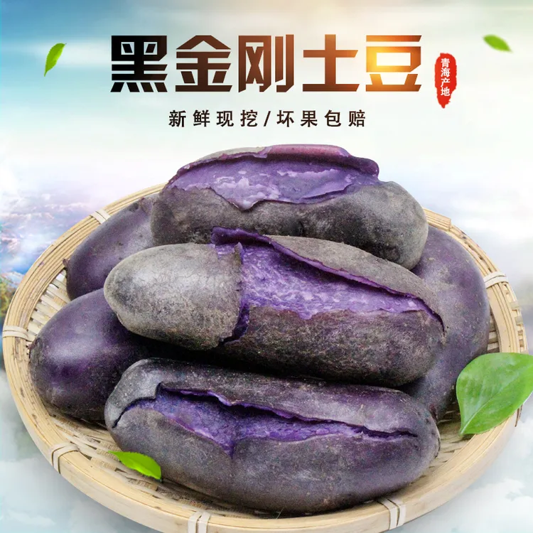 高原种植新鲜黑黑金刚花青素马铃薯紫洋芋黑美人食用3斤5斤9净重