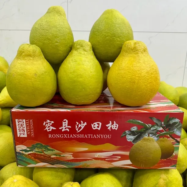 正宗广西容县沙田柚纯甜不酸应季水果水分足白肉礼盒装送礼佳品