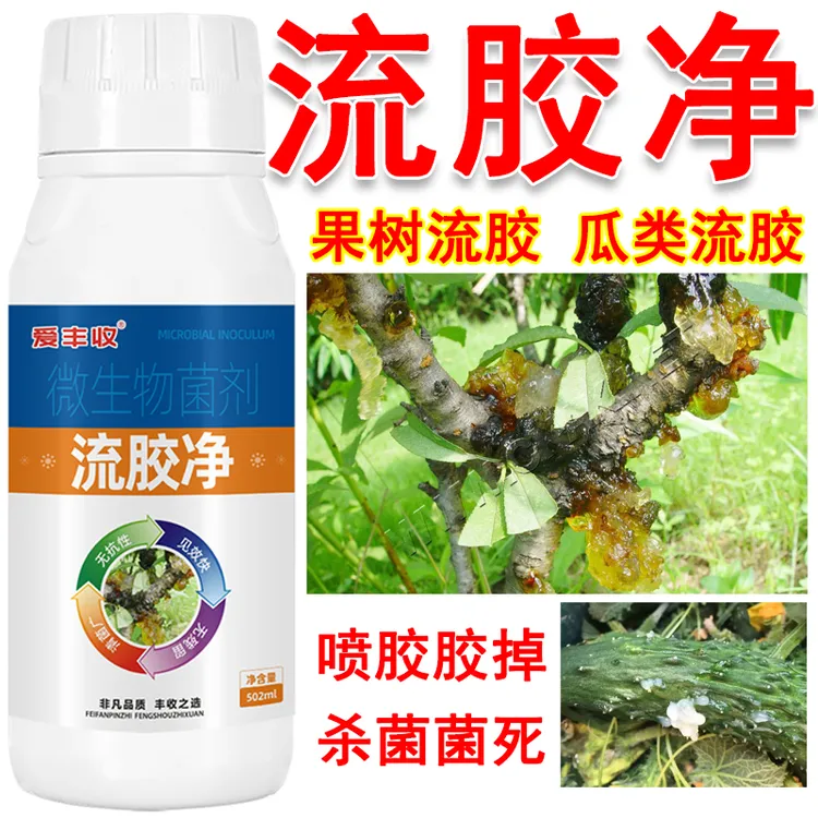 爱丰收【流胶一喷净】果树瓜类蔬菜作物防止流胶真菌细菌微生物菌剂