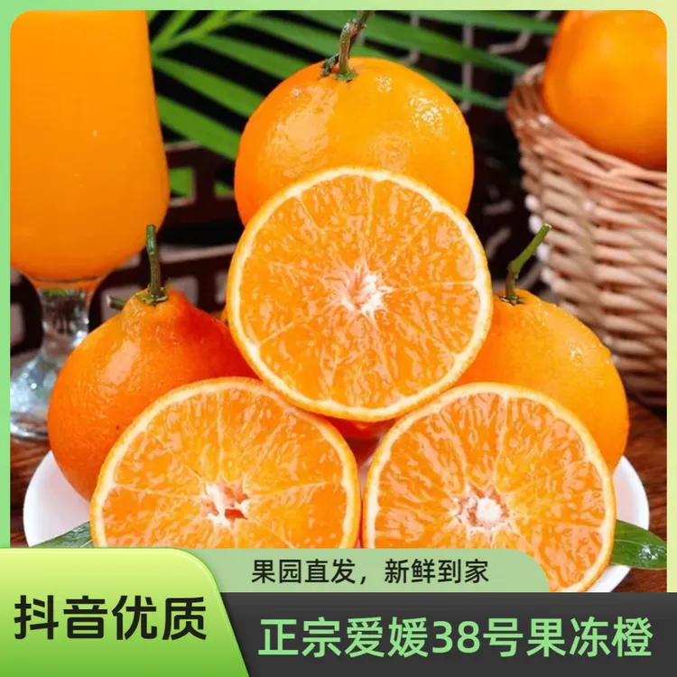 【果爱尚农】正宗四川爱媛38号果冻橙 果园直发现摘现发