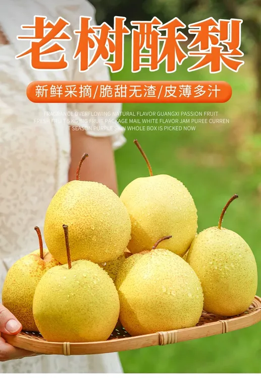 新鲜多汁礼泉应季现摘新鲜砀山酥梨香甜可口9斤整箱包邮