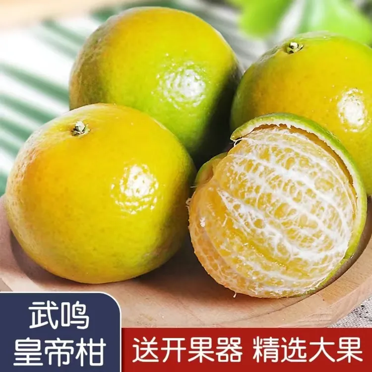 安冉珍果广西武鸣皇帝柑新鲜贡柑桔子当季水果甜美多汁