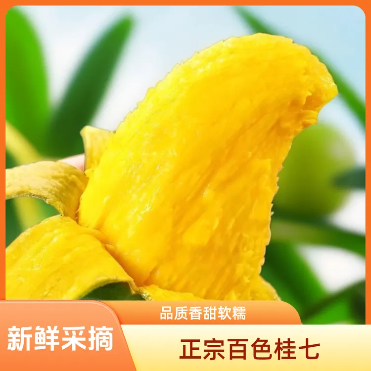 安冉珍果【正宗百色桂七】礼盒装大果新鲜品质香甜软糯多汁田东产地