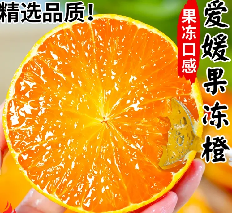 【现摘现发】正宗四川爱媛38号果冻橙香甜爆汁
