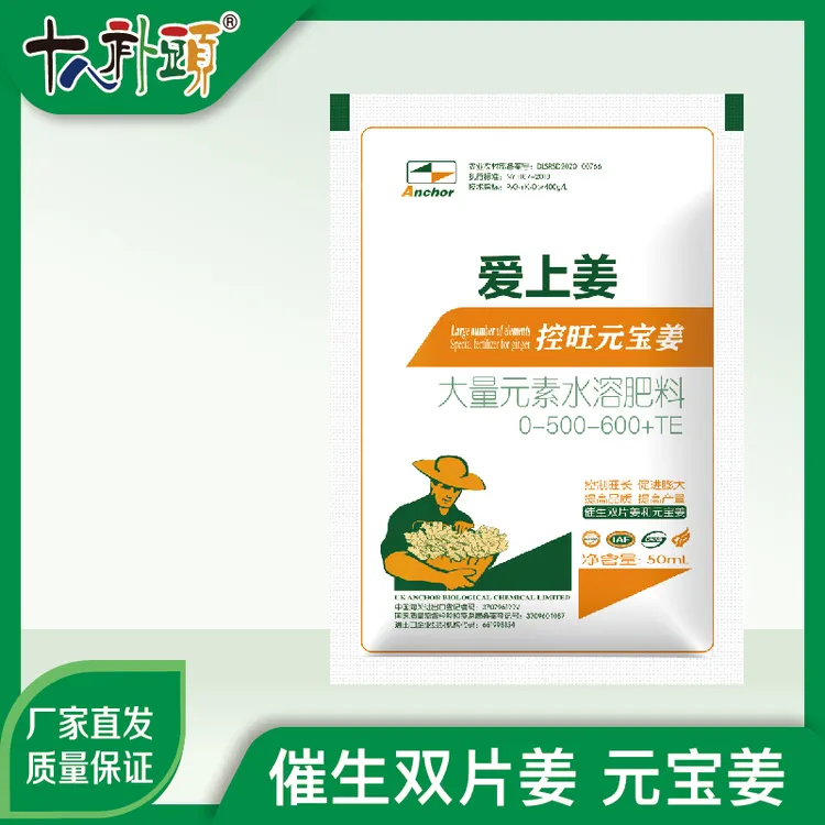 控旺元宝姜控旺壮株膨大增产防裂防赖皮病提质耐储存高产定制