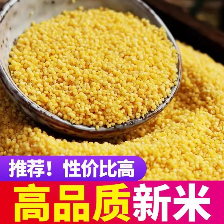 【伊川黄小米】农家自产黄小米--康姐亲挑力荐