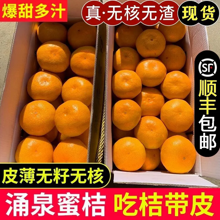 现货高山临海涌泉蜜桔子无核黄岩蜜橘当应季孕妇新鲜水果礼盒包邮