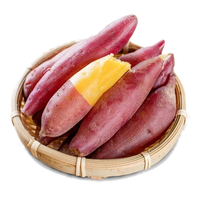 中号5斤临安天目山板栗小香薯新鲜红薯番薯地瓜黄心薯山芋甜糯