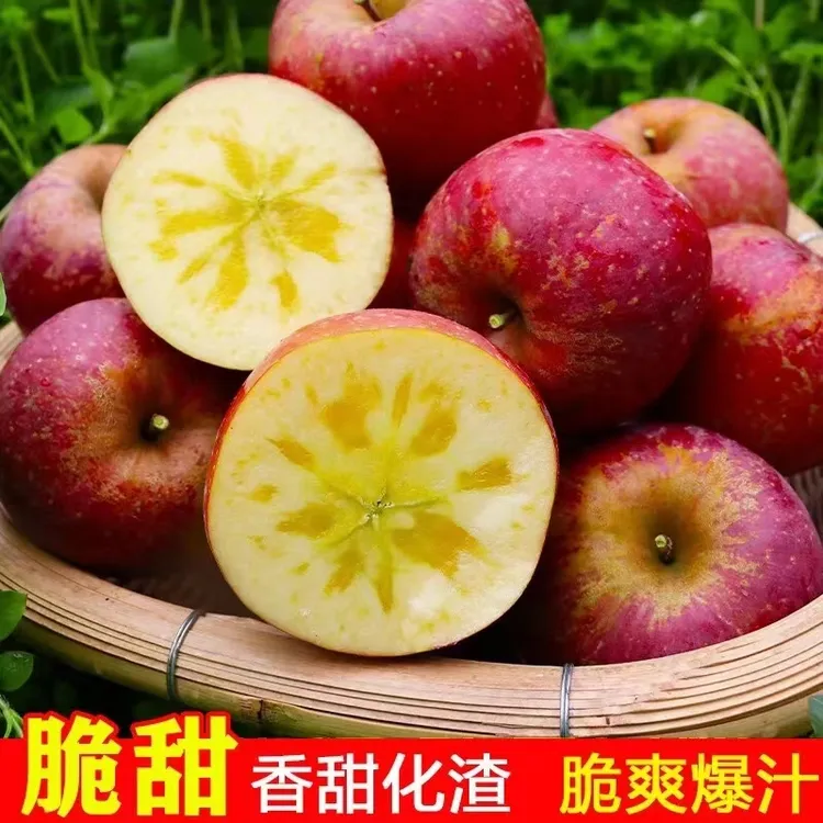 云南昭通高原冰糖心丑苹果红富士现摘现发原产地包邮新鲜自然成熟