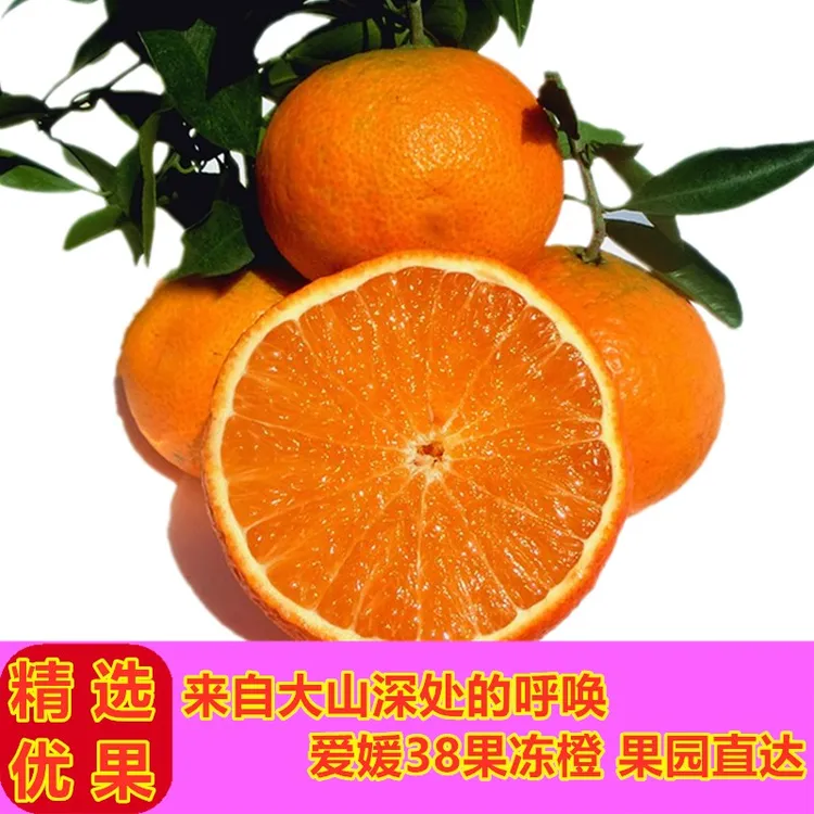 爱媛果冻橙爱媛38号手剥橙新鲜香甜细嫩饱满多汁酸甜自然快递水分