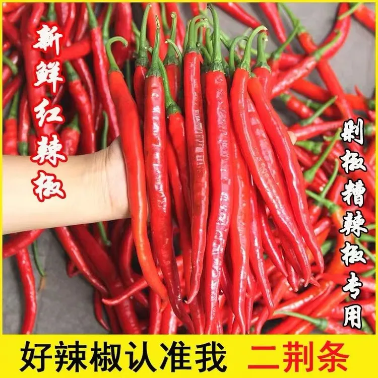 红辣椒新鲜红线椒贵州红二荆条红青椒红海椒净重1-15做剁椒辣椒酱