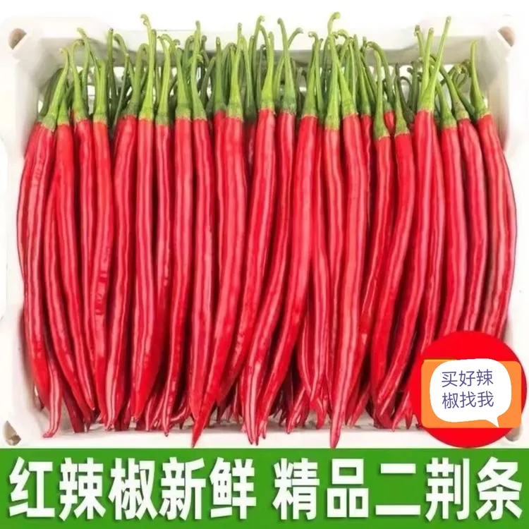 贵州辣椒新鲜红辣椒红线椒红二荆条红海椒净重1-15斤做剁椒辣椒酱