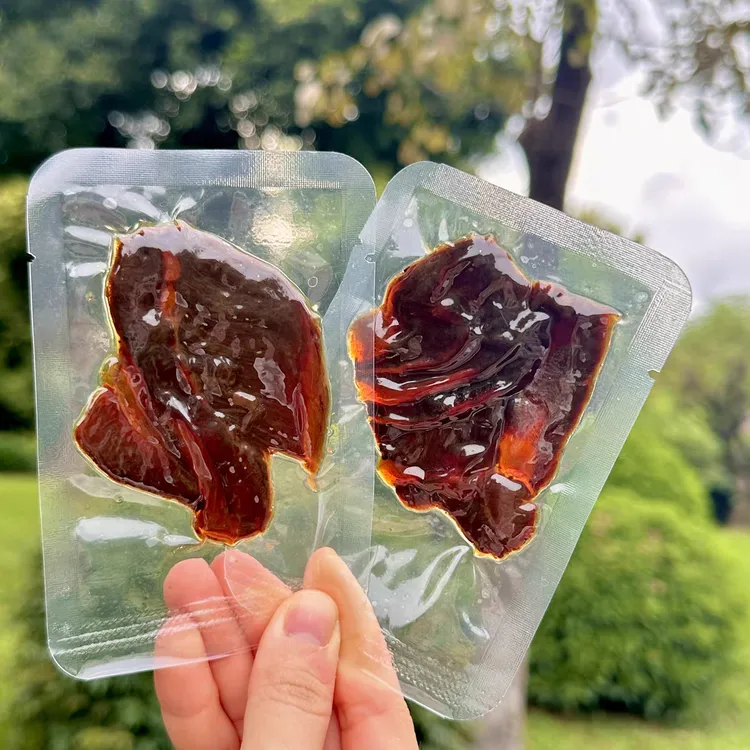温州特产湖岭阿明蜜汁牛腱子牛肉480g办公室零食解馋小吃