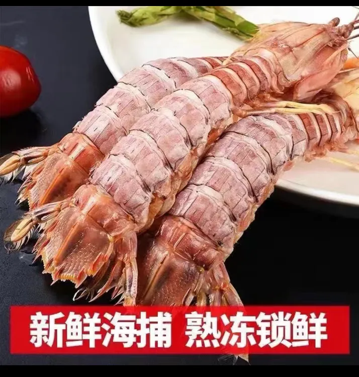 熟冻野生皮皮虾虾爬虾菇包肥野生海捕速冻顺丰冷链发货 送椒盐 