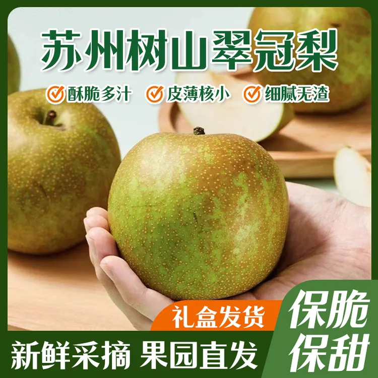 苏州树山翠冠梨 翠冠一号 翠冠梨 苏州特产 新鲜水果礼盒装