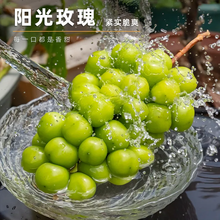 每天水果优选云南大理宾川阳光玫瑰葡萄精品香印青提当季新鲜整箱
