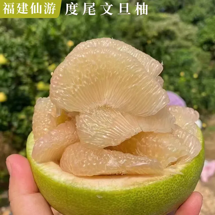 正宗福建仙游度尾文旦柚香甜多汁当季新鲜应季时令水果包邮