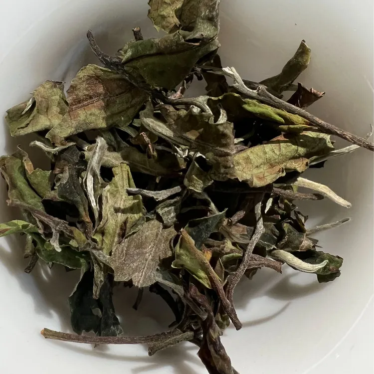 2024春-云南白茶散茶月光白（一芽二叶）-香高-清香鲜爽-清甜甘润