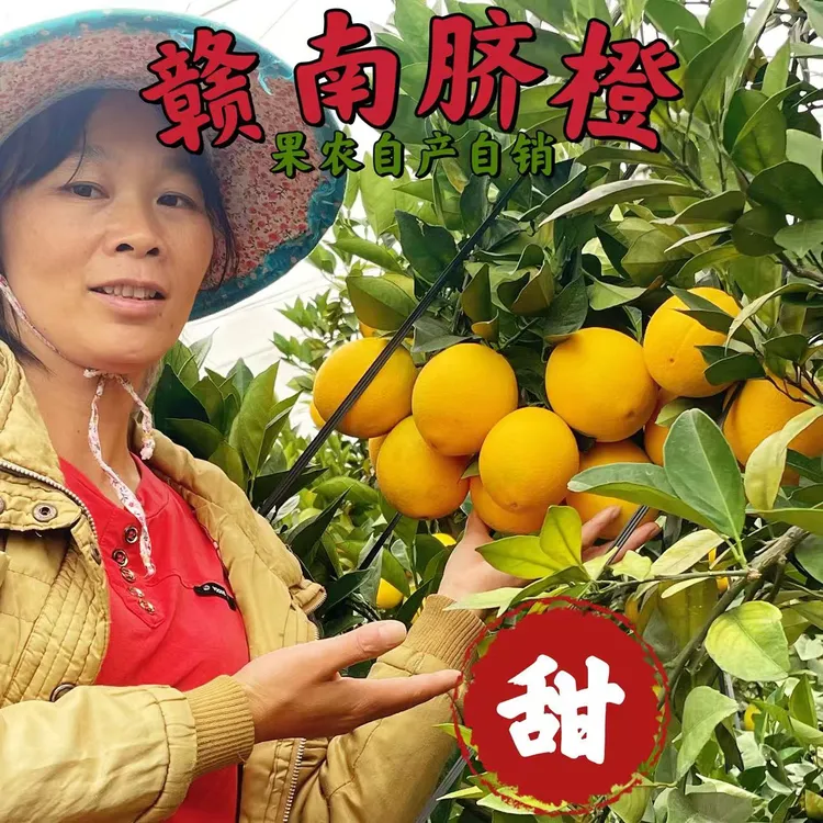 江西赣南脐橙橙子新鲜当季水果产地现摘直发10斤包邮