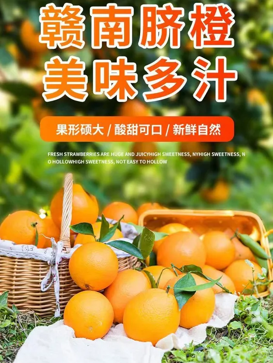 江西正宗赣南早脐橙新鲜鲜甜脆嫩赣州瑞金原产地现摘发货快递