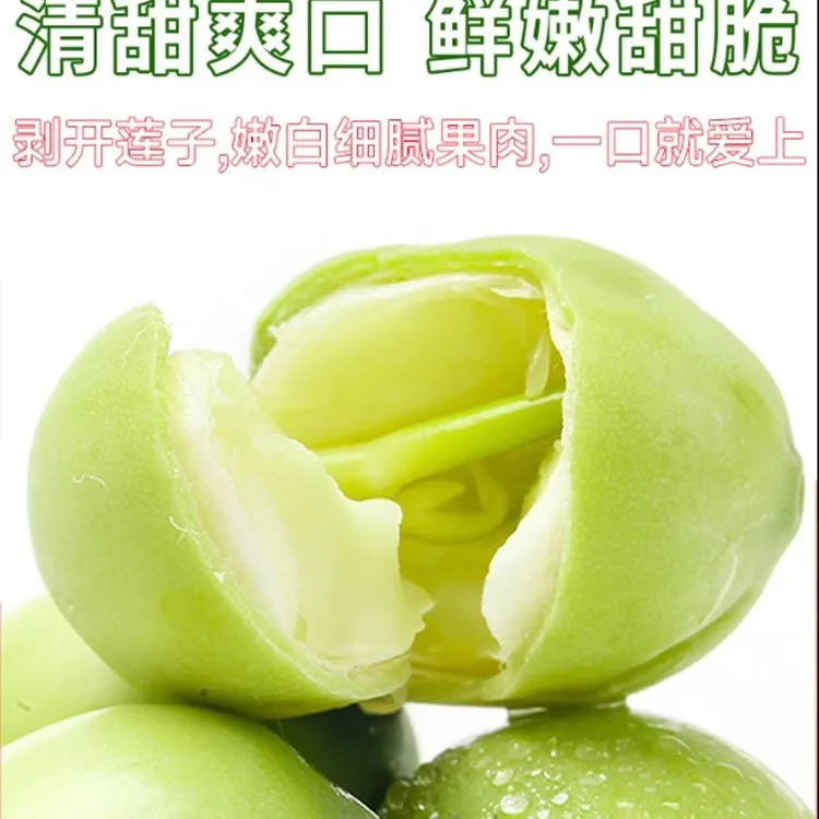洪湖新鲜莲子米不带蓬现摘现剥生吃嫩甜水果莲子莲蓬孕妇即食顺丰