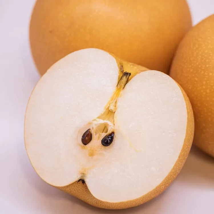 一级酵素秋月梨    八斤礼盒装清香口感 青脆多汁